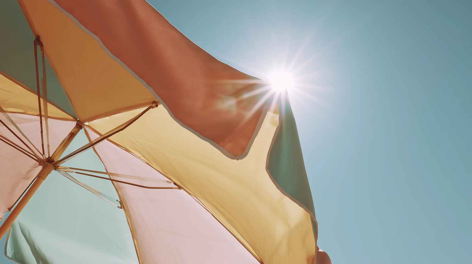Canicule : les bons réflexes pour se protéger et rester bien hydraté