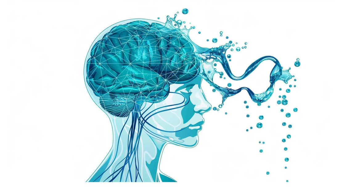 image-avec-cerveau-eau